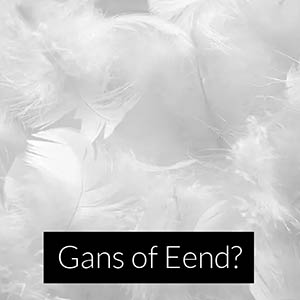 Ganzen- of Eendendons?