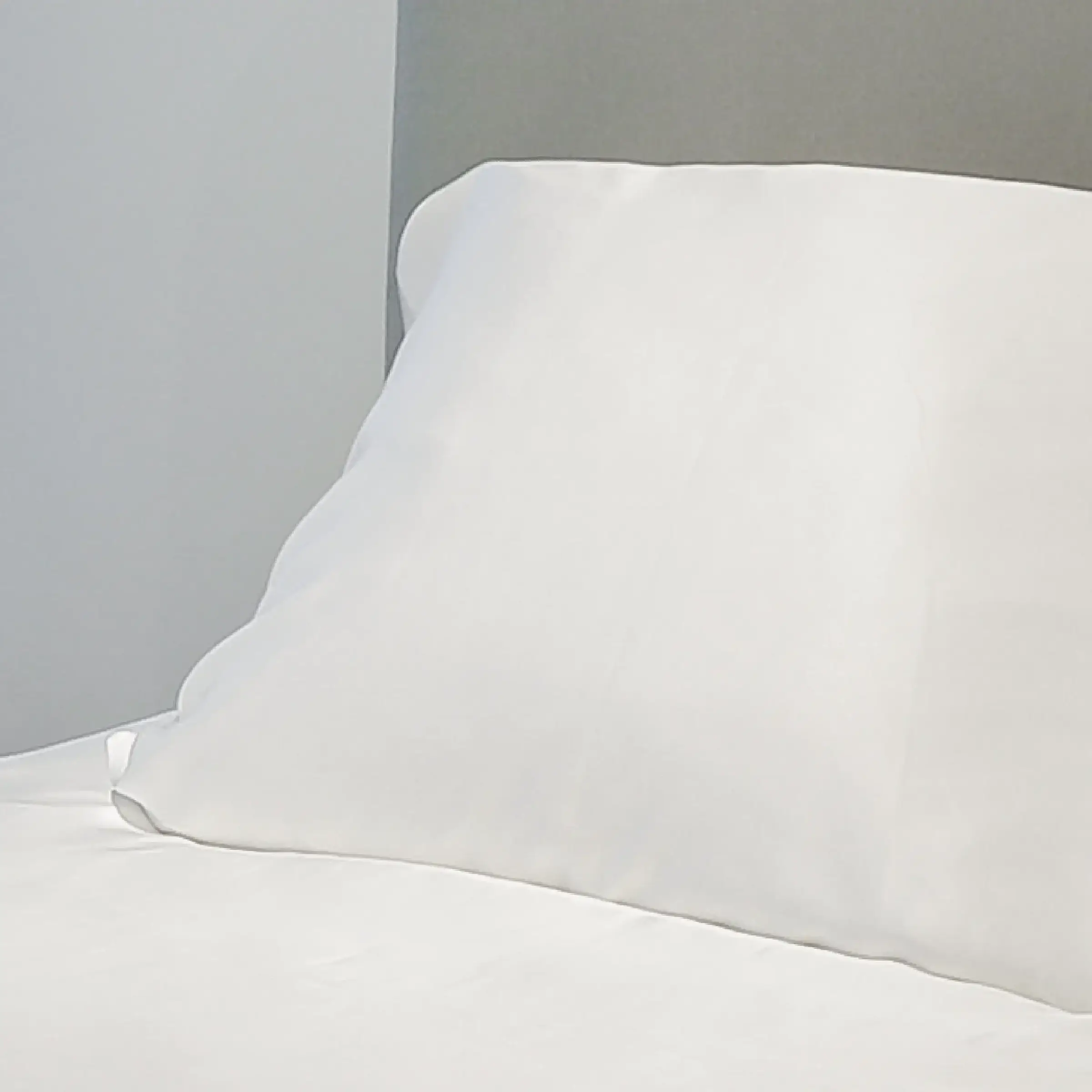 Emperior Silk Kussensloop Zijde Taupe