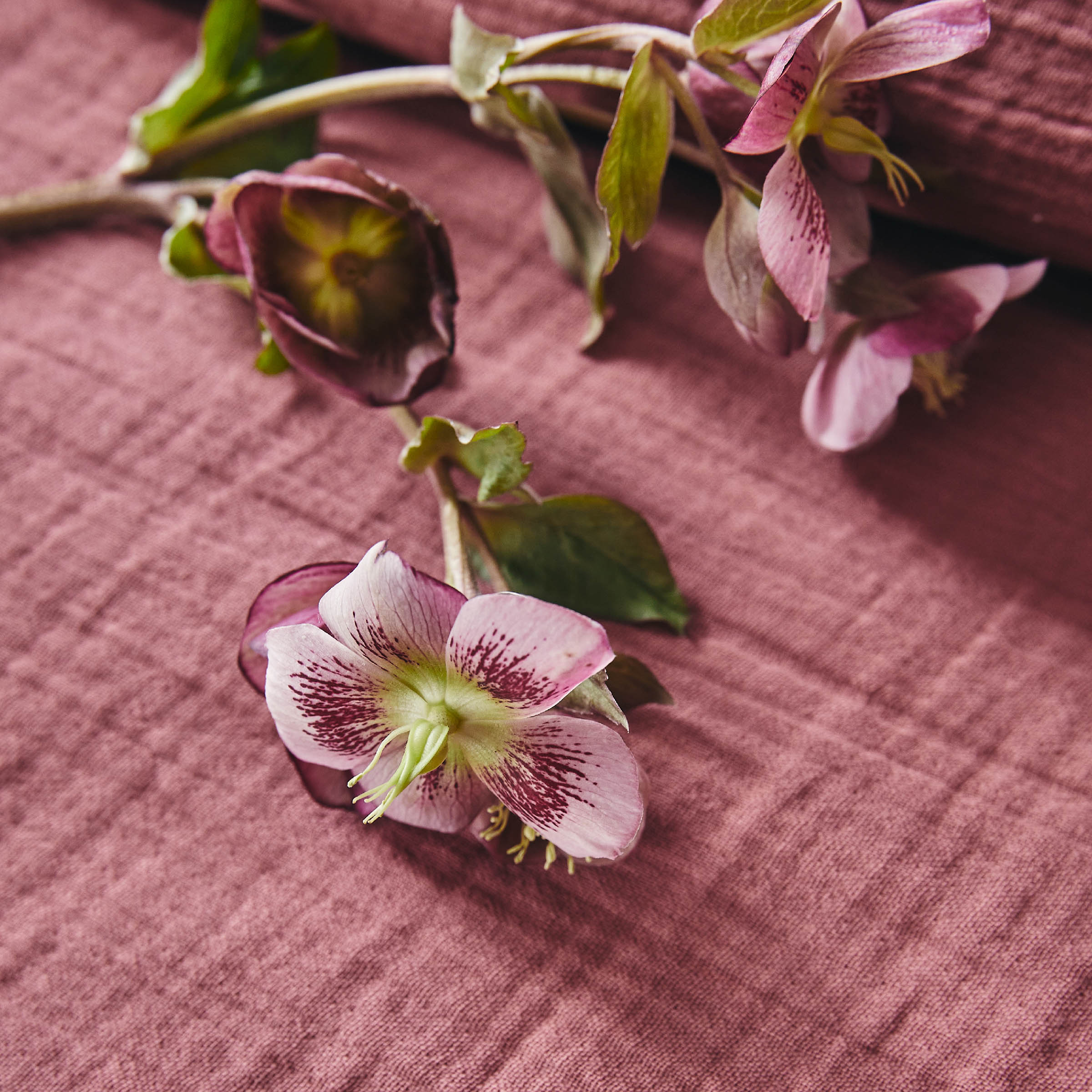 Essix Dekbedovertrek Set Tendresse Stonewashed Katoengaas 145TC Rose Canyon 