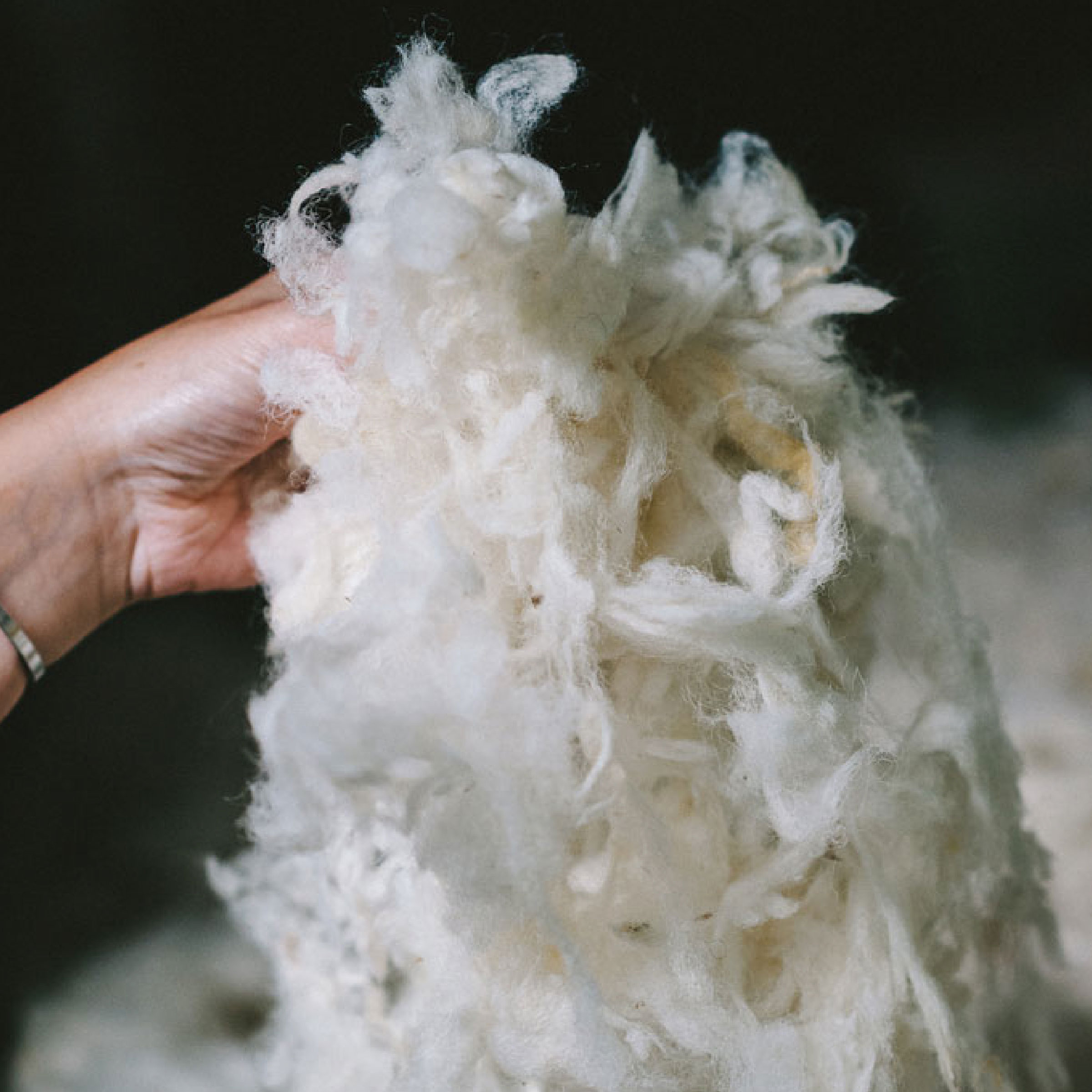 Texeler Futon Comfort Extra Scheerwol 2000 gr/m2 - 550 gr/m2 