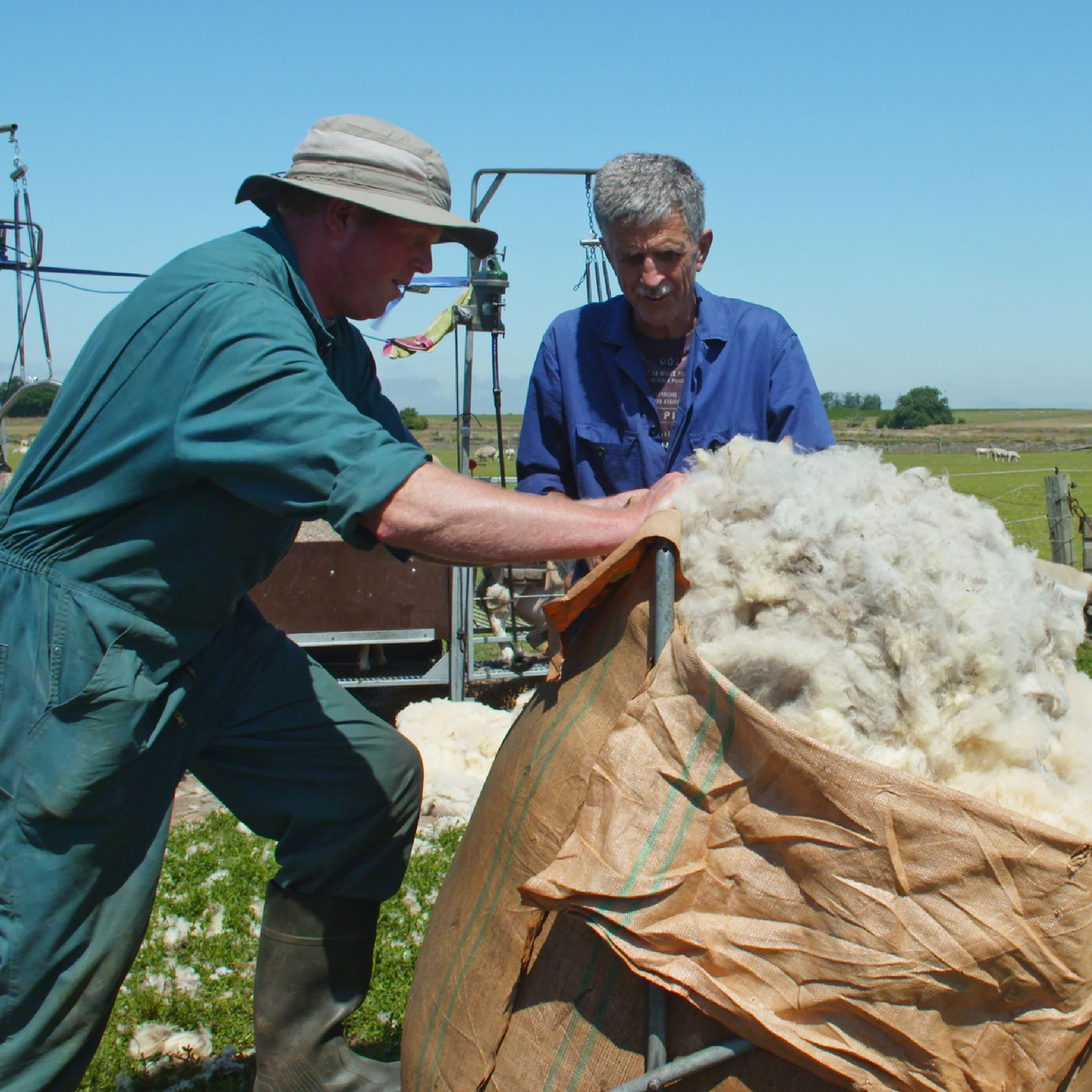 Texeler Kussen Soezz Perfection Scheerwol 60 x 70 cm