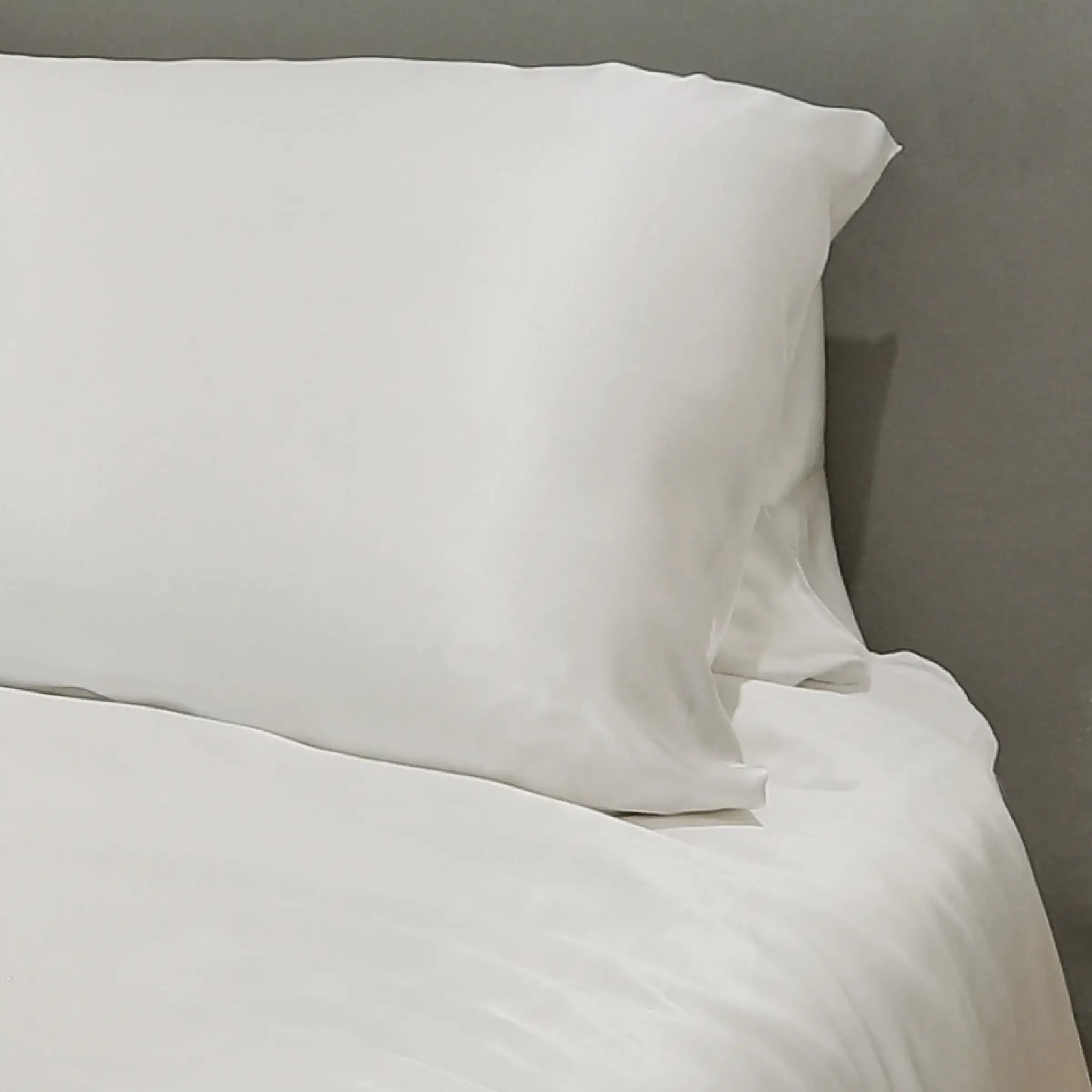 Emperior Silk kussensloop Verdi Naturel