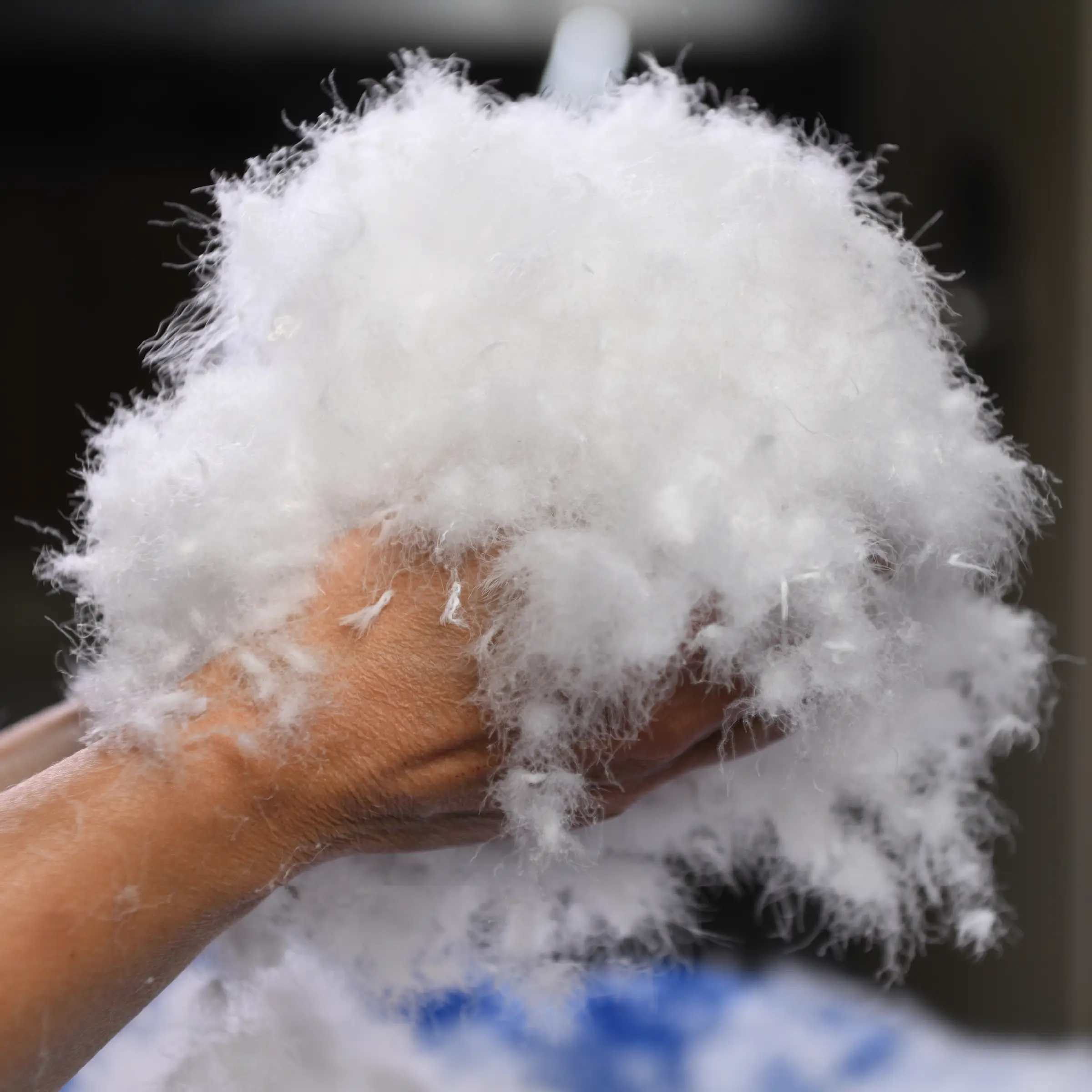 Jonk Dekbed Romance 90% witte Poolse Ganzen Dons Winter