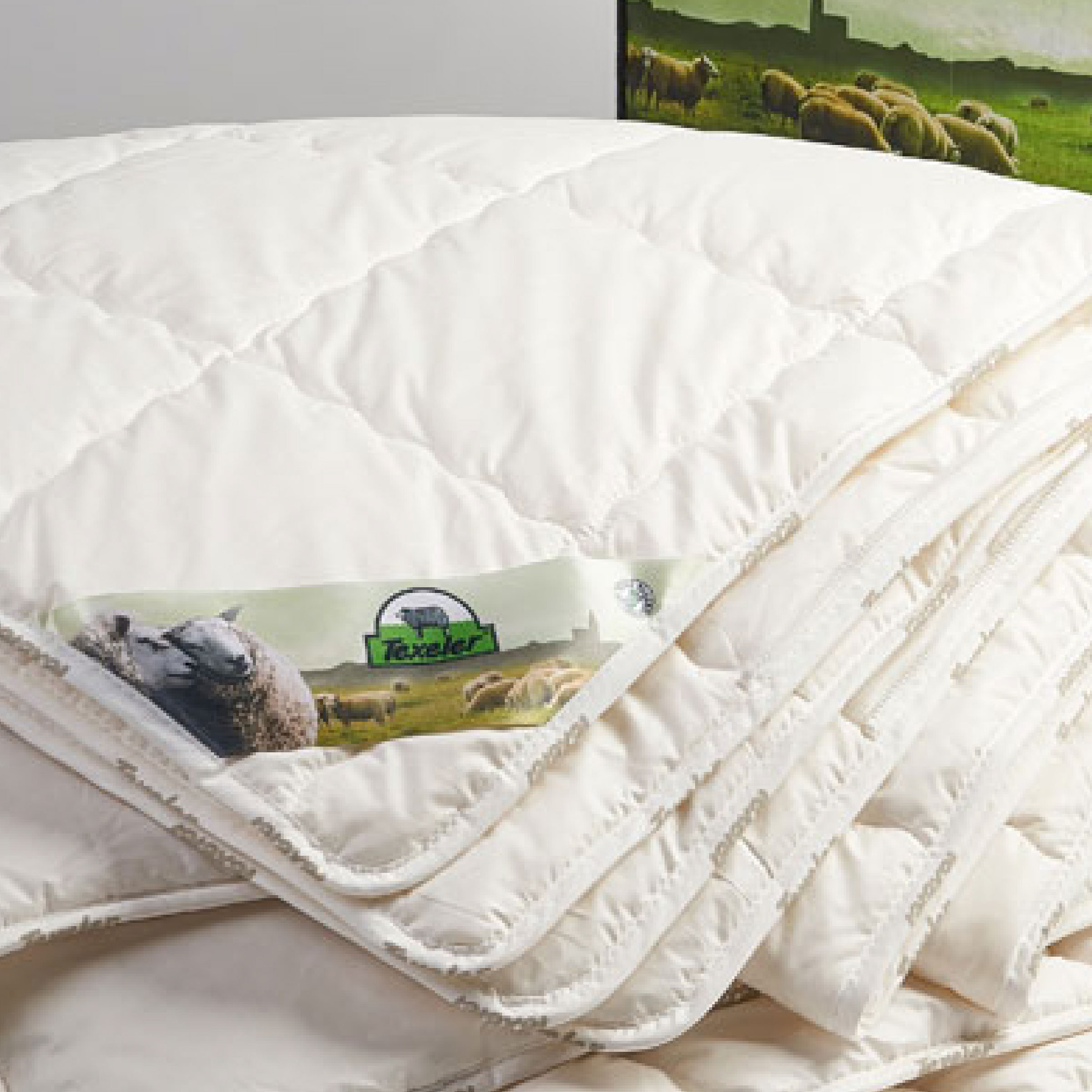 Texeler Dekbed Wonder Wool Care Scheerwol 4 Seizoenen 