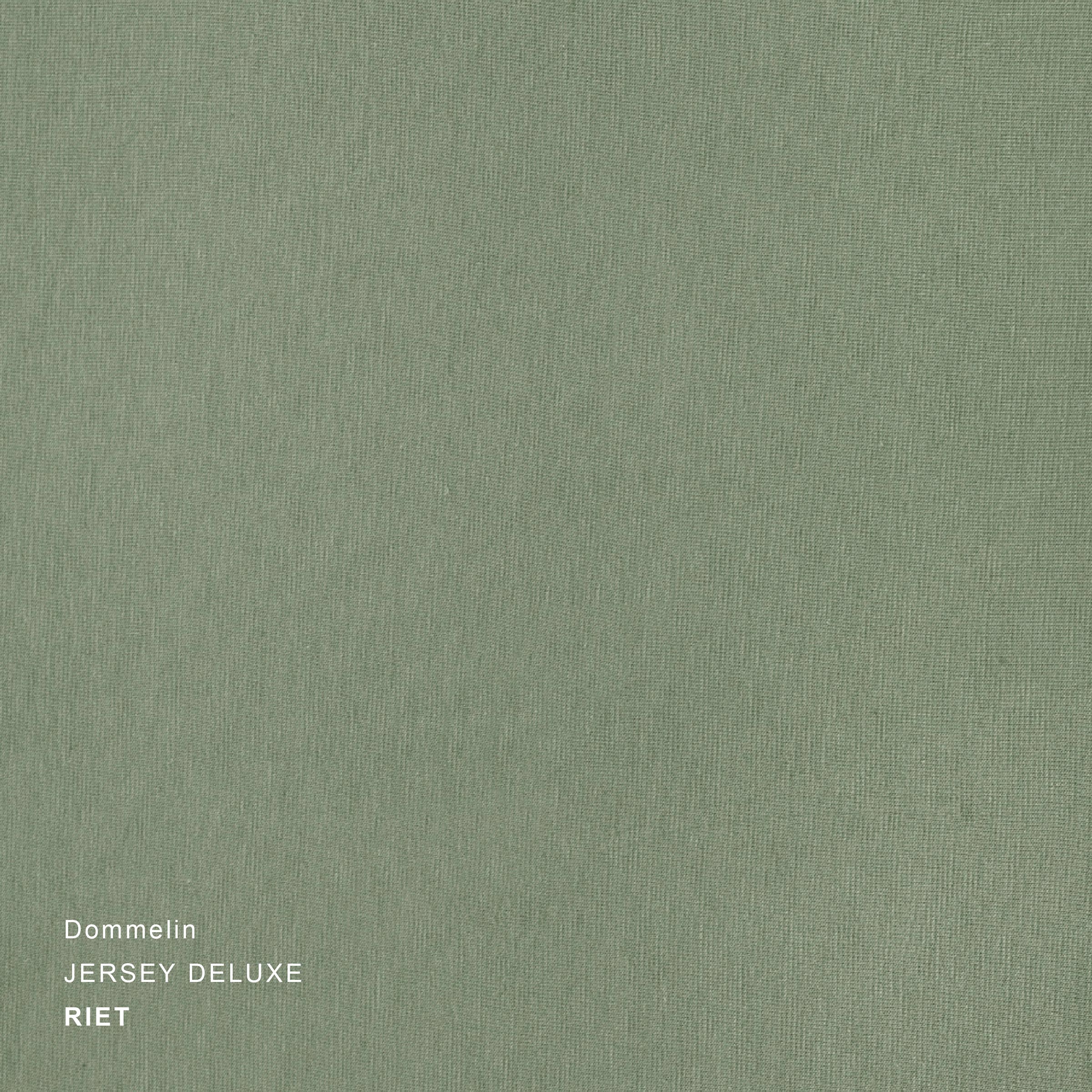 Dommelin Split Hoeslaken Jersey Deluxe Riet  