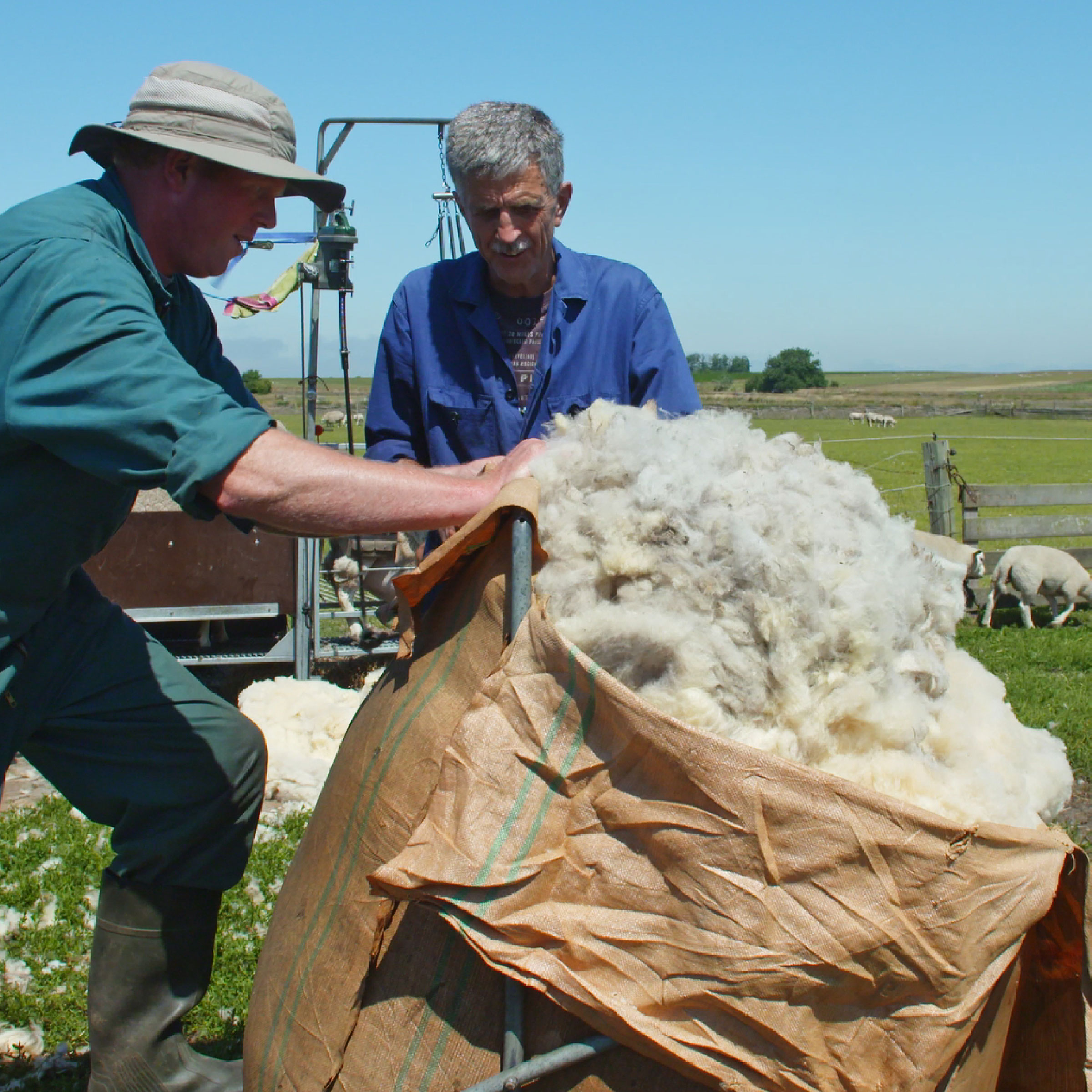 Texeler Dekbed Bovenste Beste Lamswol 4 Seizoenen 