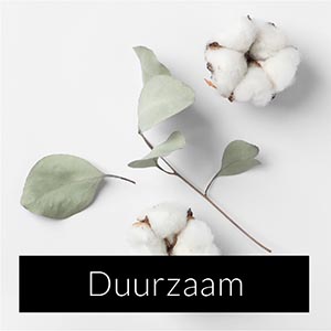 Duurzaam