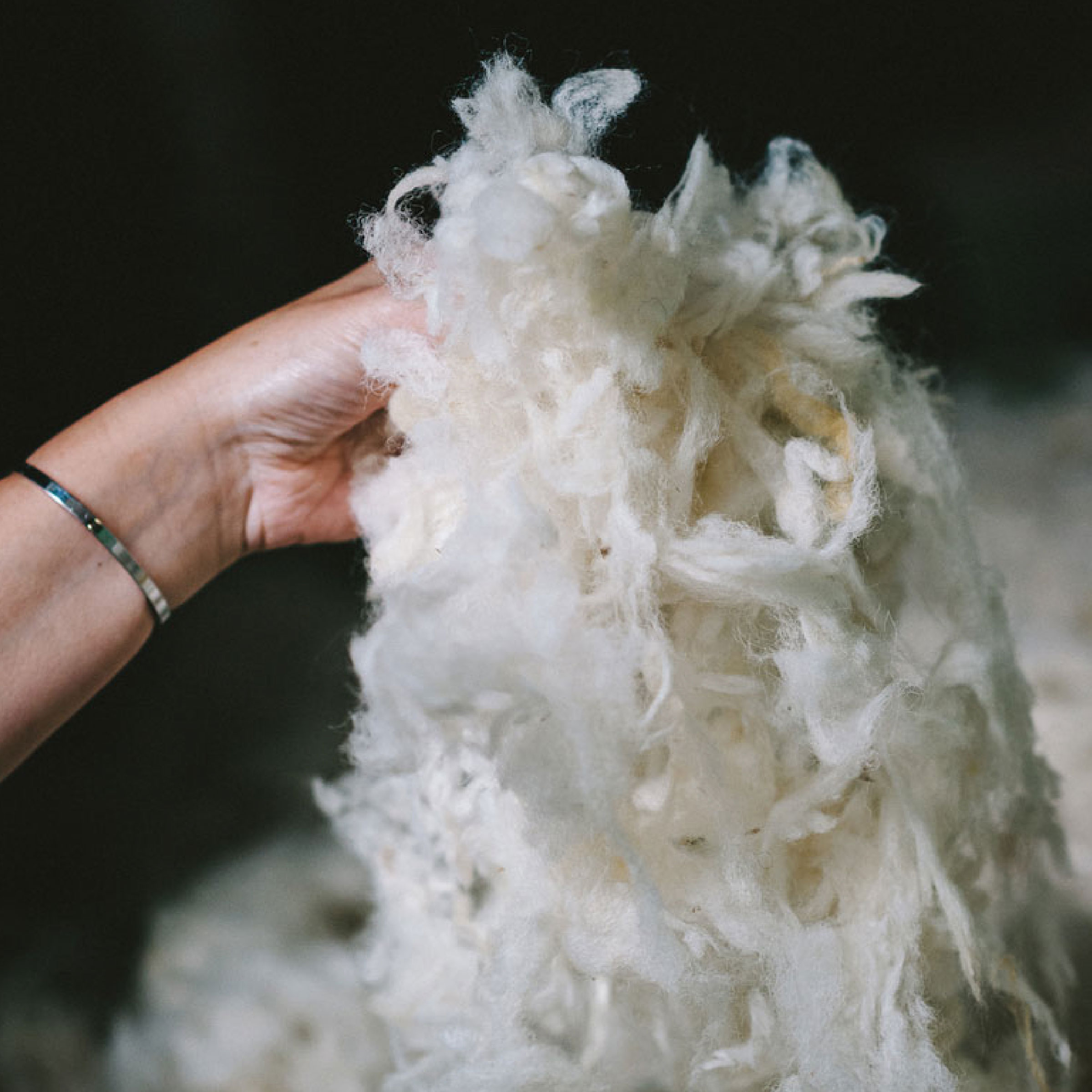 Texeler Dekbed Multikeus Scheerwol Winter 