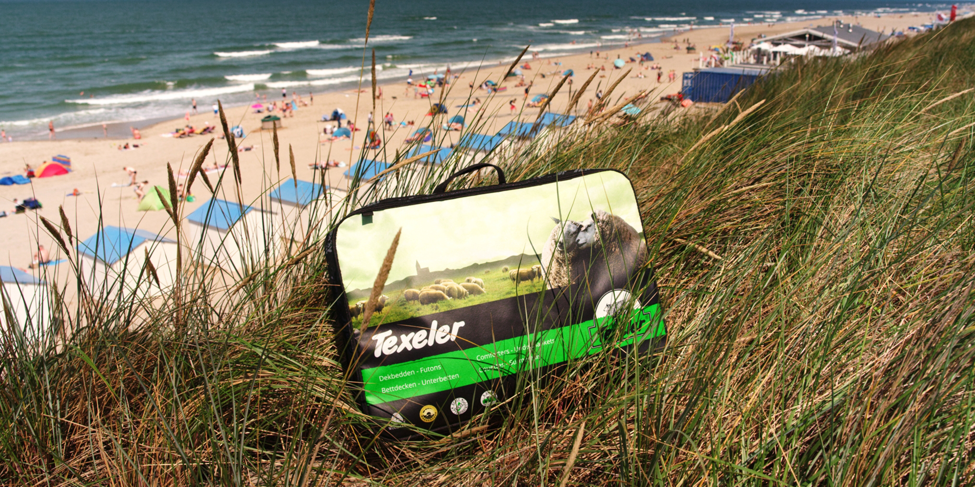 Strand, Buitenshuis, Zee, Water, Gras