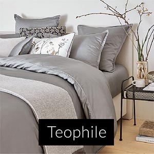 Teophile collectie