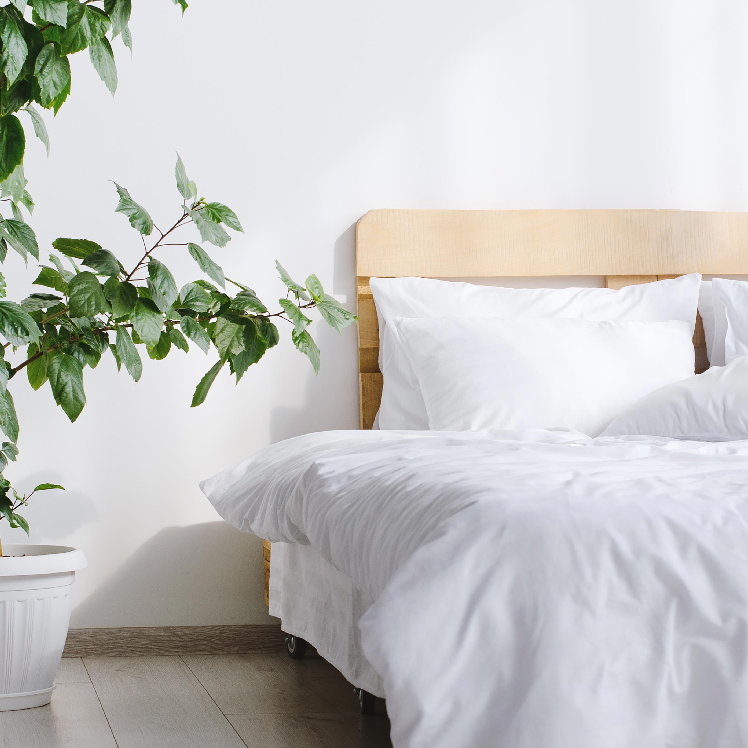 Dommelin Dekbedovertrek Katoen 180TC Wit