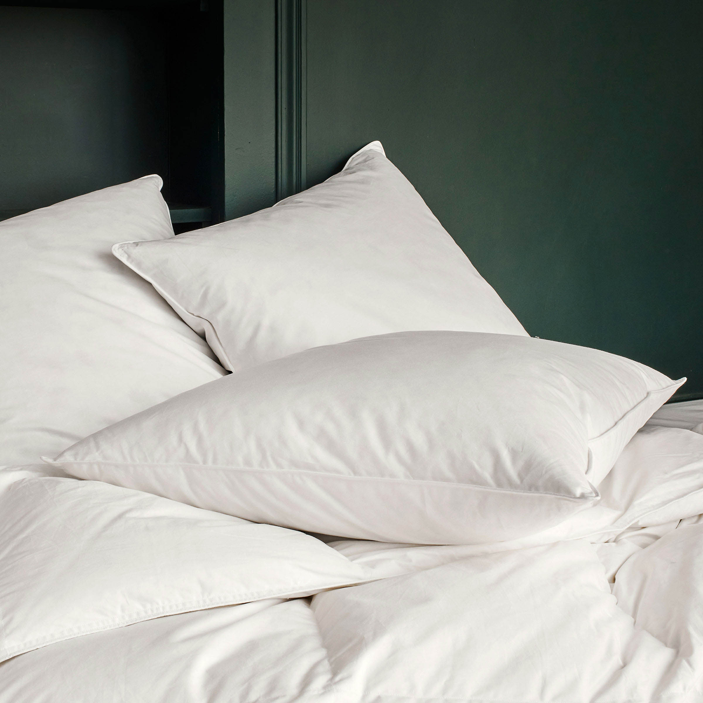 Essix Kussen Ferme Dons