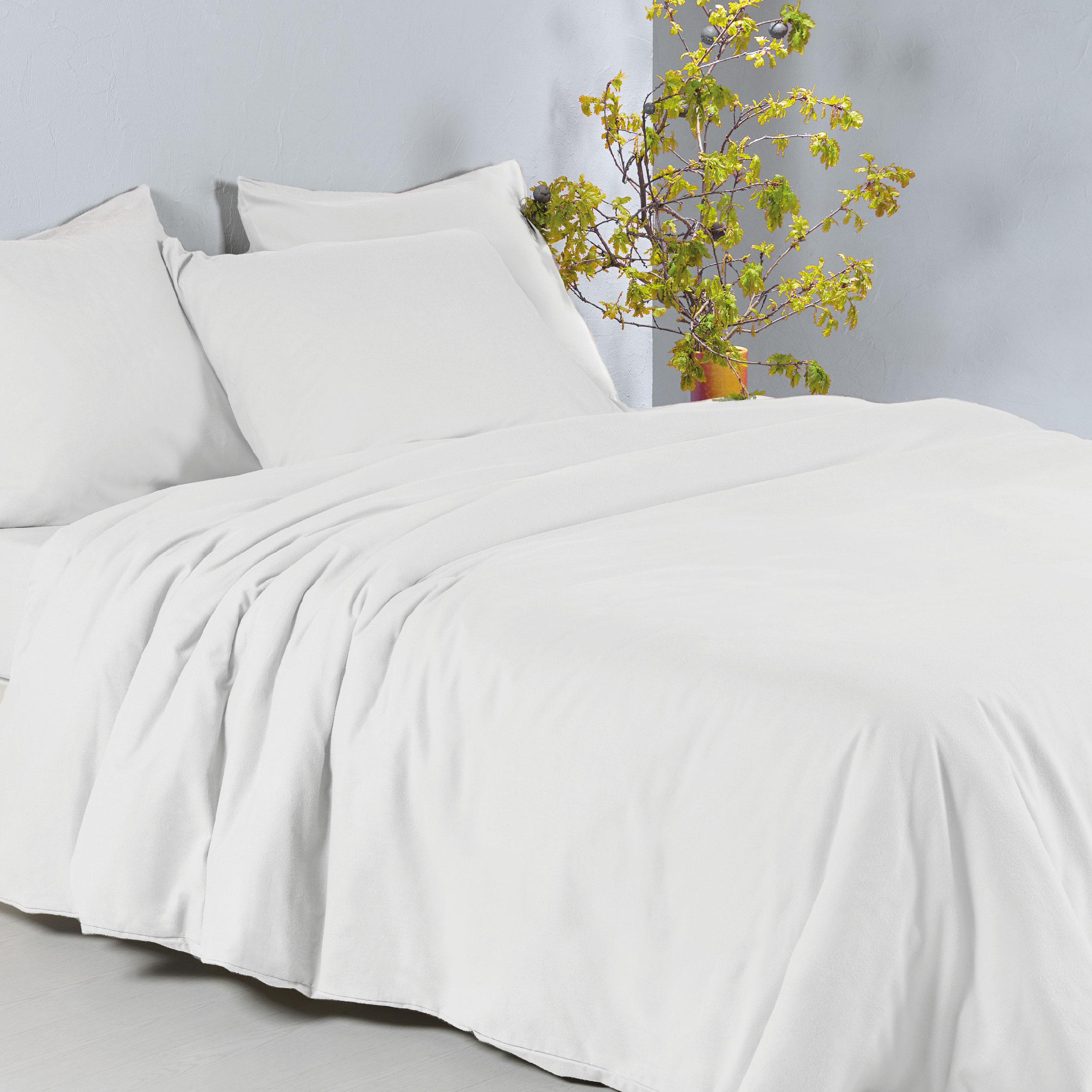 Meubels, Bed, Kussen, Deken, Plant