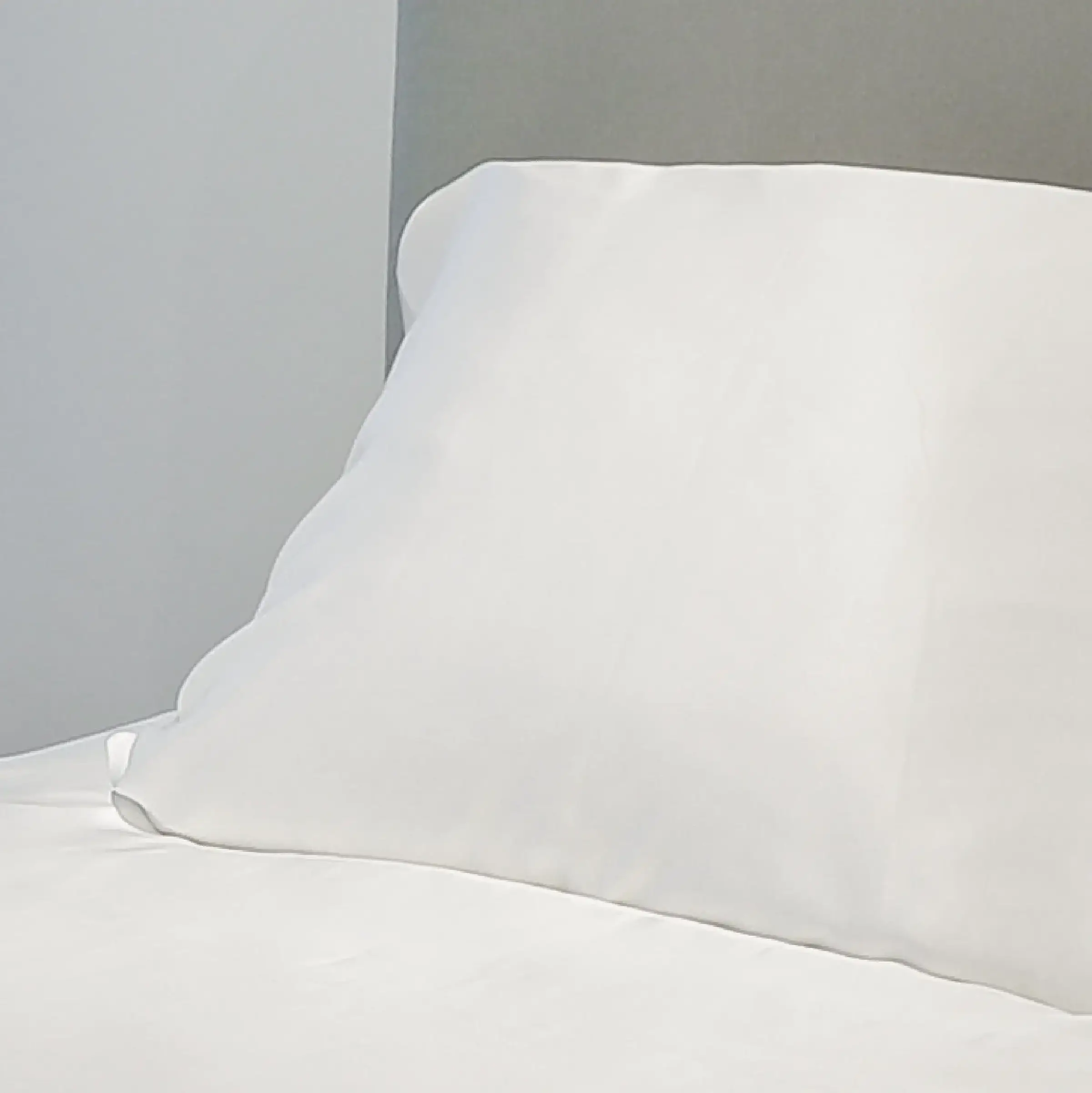 Emperior Silk kussensloop Verdi Naturel