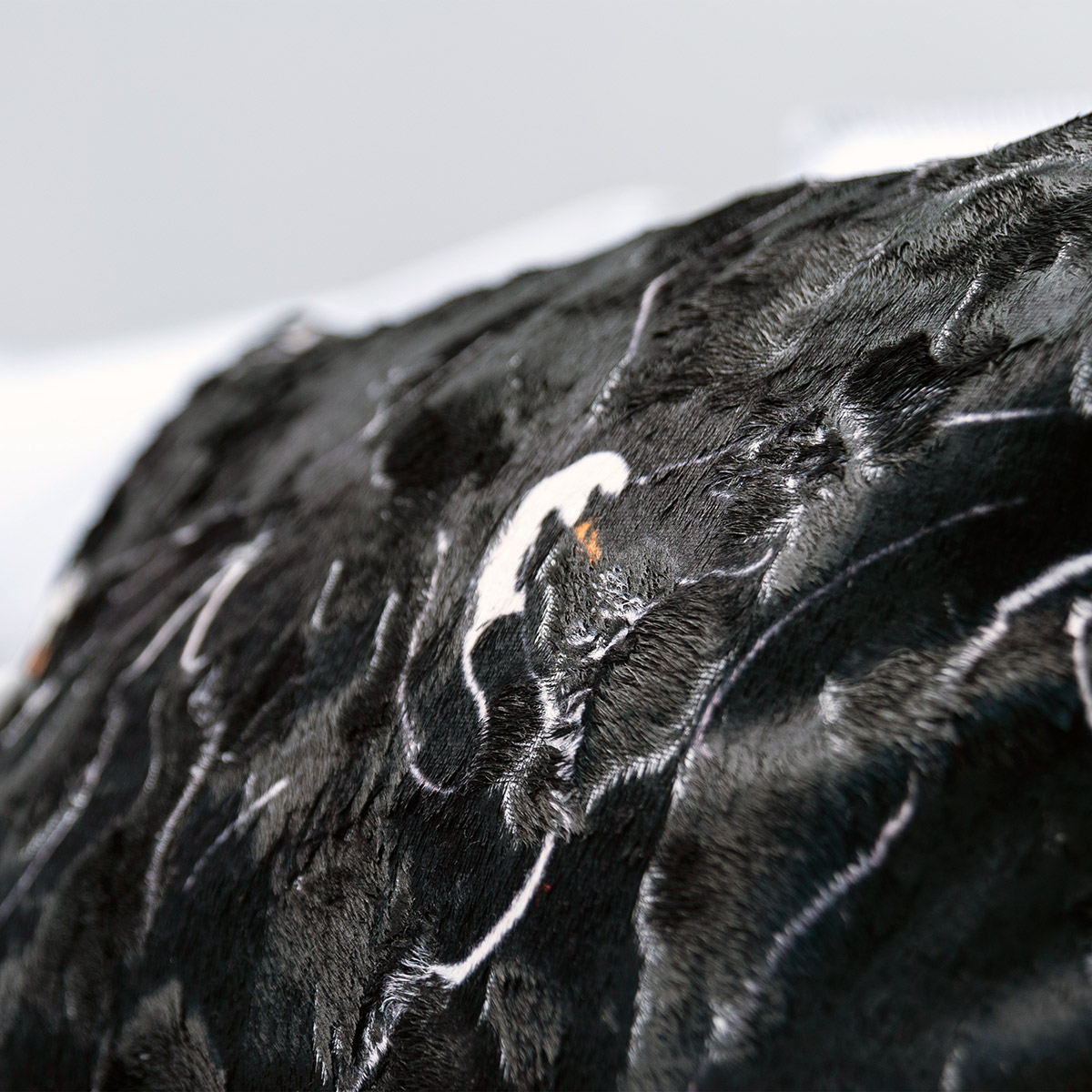 Mrs.Me Sierkussen Swan Velours Multiblack 45 x 60 cm